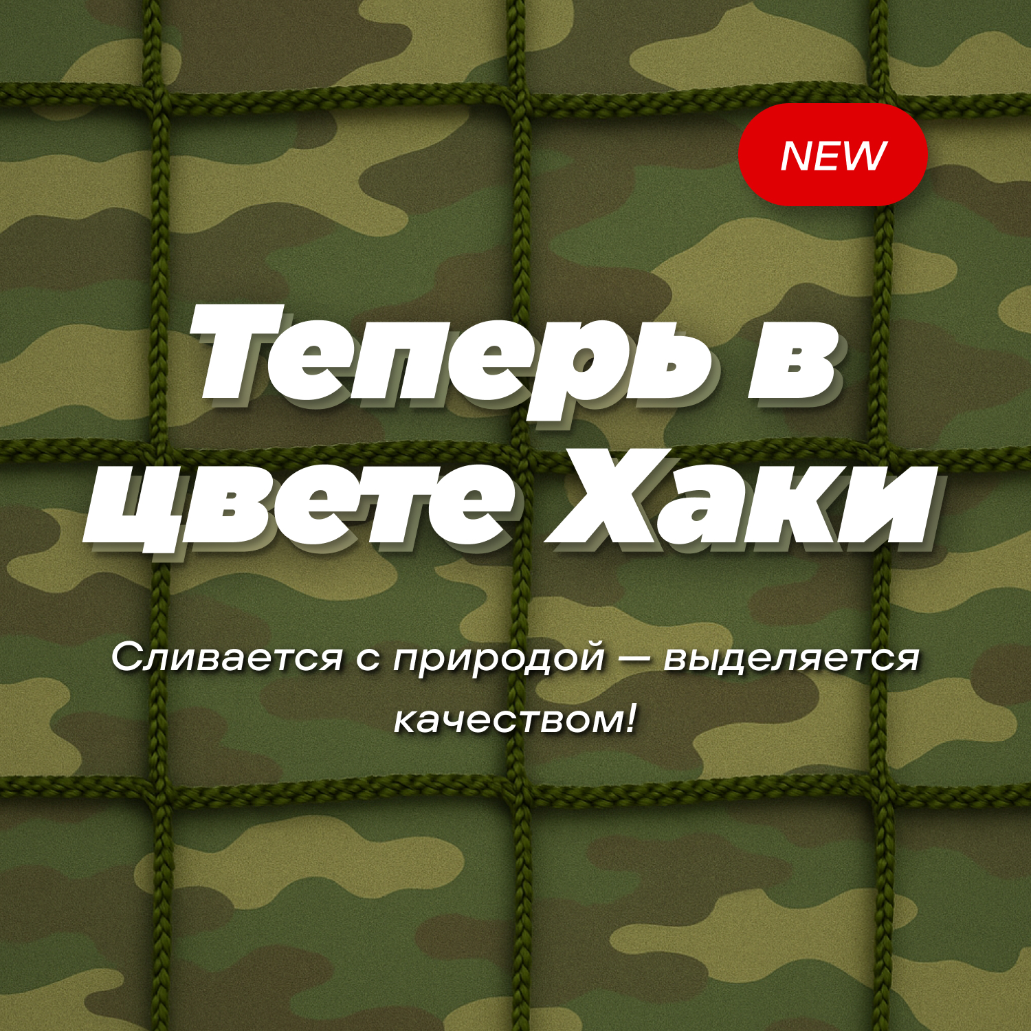 Фехтвание