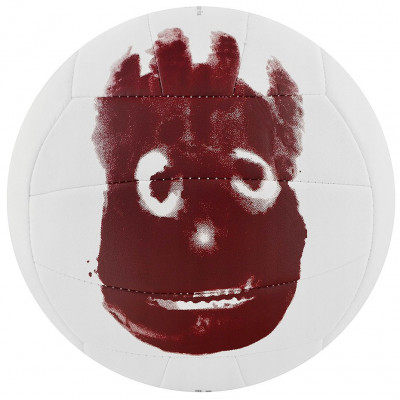 Мяч волейбольный Wilson Castaway, WTH4615XDEF, р.5, 18 панелей, синт.кожа PVC, маш.сшивка, белый