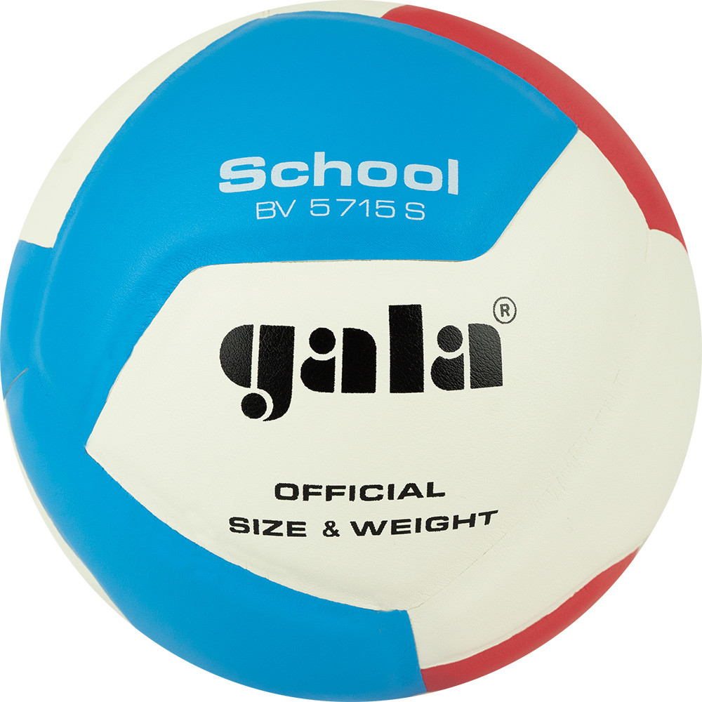 Мяч волейбольный GALA School 12, BV5715S, р. 5, син.кожа под.сл. пена, клеен,бут.кам,бел-гол-красн