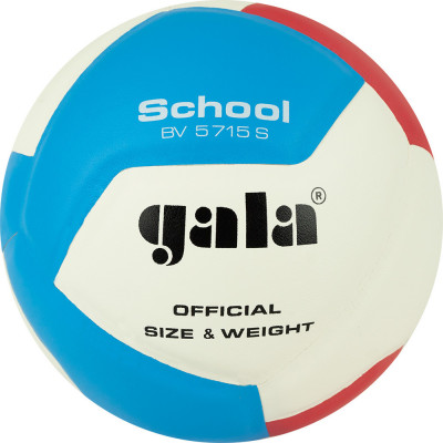 Мяч волейбольный GALA School 12, BV5715S, р. 5, син.кожа под.сл. пена, клеен,бут.кам,бел--гол-красн.