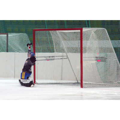 Сетка для хоккейных ворот (1 шт.), толщина нити: 2,6 мм.