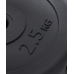 Диск пластиковый BB-203 d=26 мм, черный, 2,5 кг, УТ-00019754
