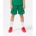 Шорты баскетбольные Camp Basic, зеленый, детский, УТ-00020157