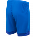 Шорты игровые DIVISION PerFormDRY Union Shorts, синий/темно-синий/белый, детский, УТ-00019016