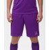 Шорты игровые CAMP Classic Shorts, фиолетовый/белый, УТ-00016223