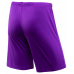 Шорты игровые CAMP Classic Shorts, фиолетовый/белый, УТ-00016223
